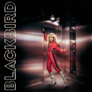 Blackbird - Do you read me