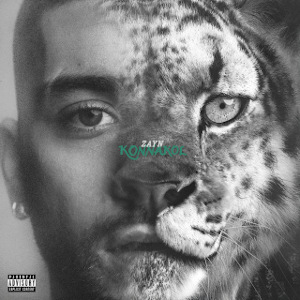 Zayn - Die for me